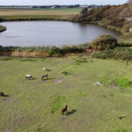 B&B Hoeve Dijkstal Logeren Op De Boerderij Sint Maarten Eksteriør billede