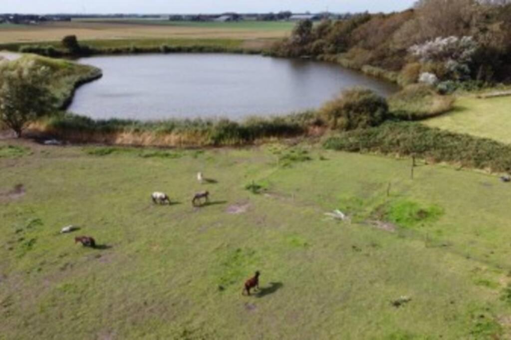 B&B Hoeve Dijkstal Logeren Op De Boerderij Sint Maarten Eksteriør billede